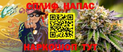 гидра Славянск-на-Кубани