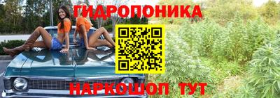 гидра Славянск-на-Кубани