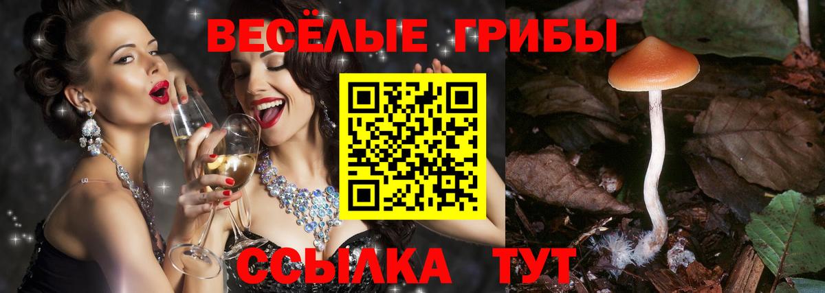 Краснодар  Псилоцибиновые грибы Magic Shrooms  Вход с VPN 